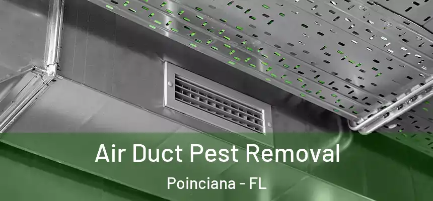 Air Duct Pest Removal Poinciana - FL