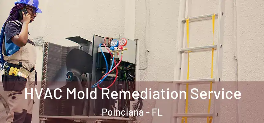 HVAC Mold Remediation Service Poinciana - FL