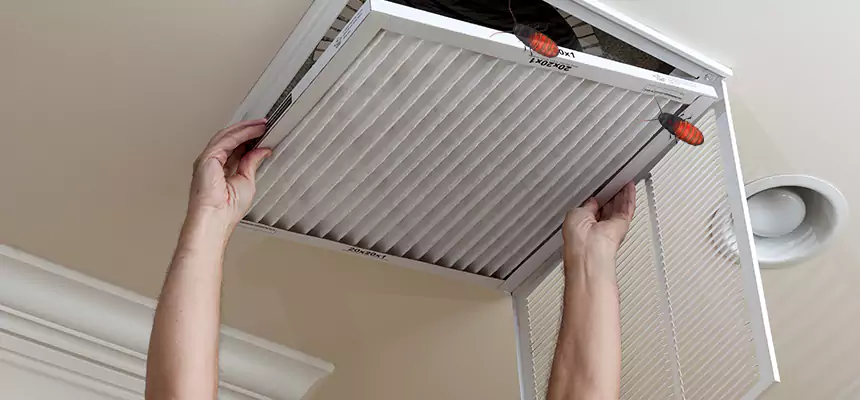 Our Insect Removal from Air Ducts Services in Poinciana, FL