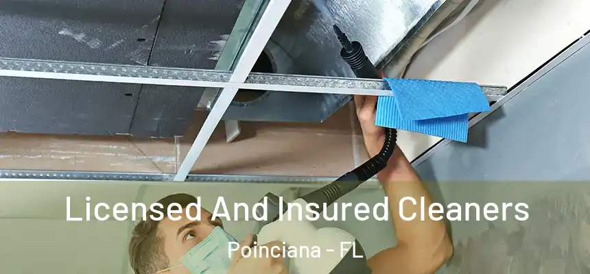 Licensed And Insured Cleaners Poinciana - FL