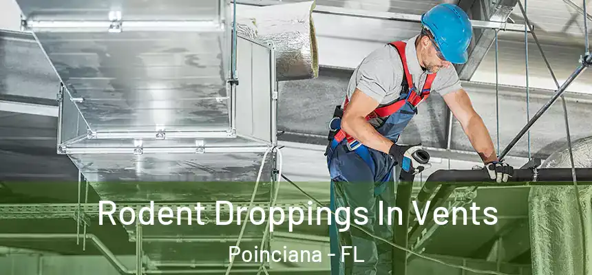 Rodent Droppings In Vents Poinciana - FL