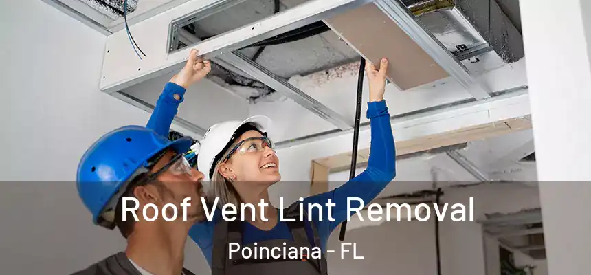 Roof Vent Lint Removal Poinciana - FL
