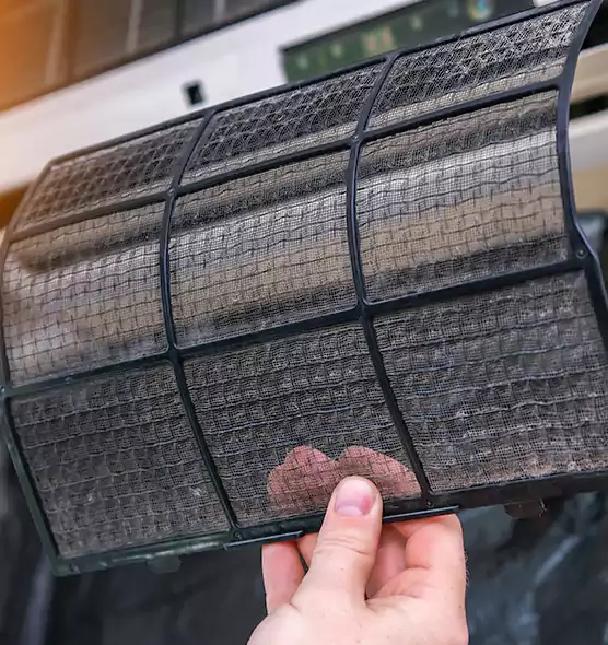 About Pet Dander Duct Cleaning in Poinciana, FL